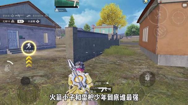 <strong>和平精英常用的透视武器</strong>
